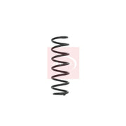 Apec Rear Suspension Coil Spring ACS1564
