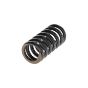 Bosch Compression Spring