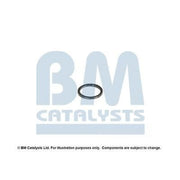 BM Catalysts Fitting Kit FK80057A FK80057A