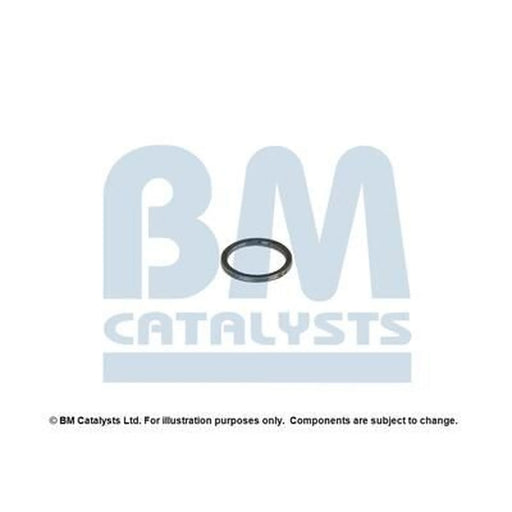 BM Catalysts Fitting Kit FK80057A FK80057A