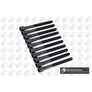 BGA Cylinder Head Bolt Set M10 BK3304