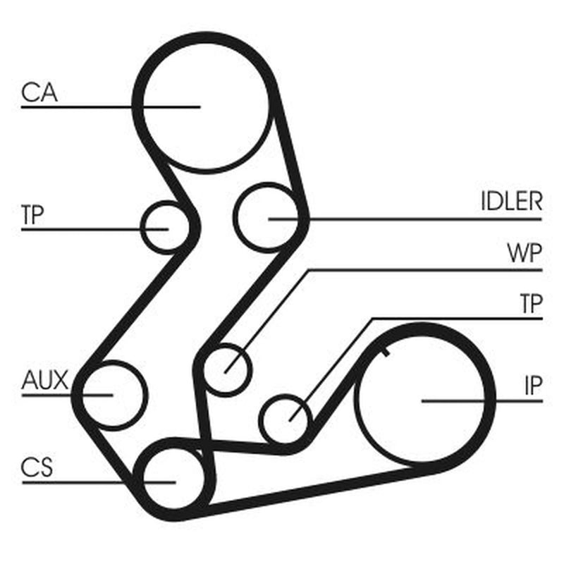Continental CTAM Timing Belt Kit with Rollers fits Ford Mpv 1996-2002 1.8