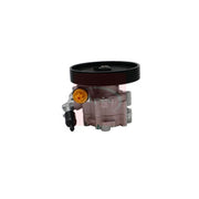 Apec Power Steering Hydraulic Pump fits Citroën Relay I 2001-2002 2.0