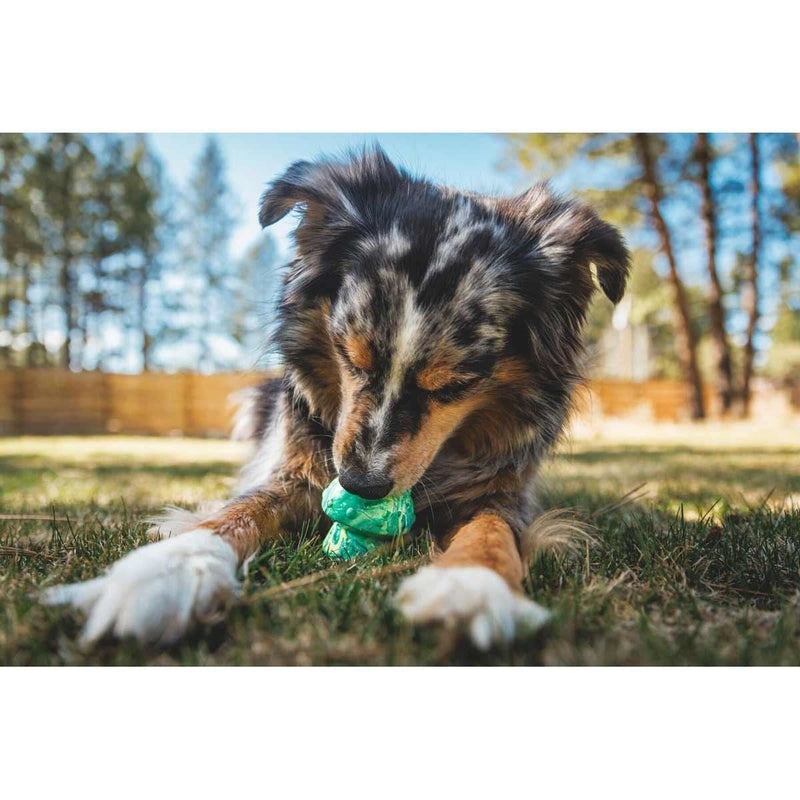 Ruffwear Toadstool Dog Toy in Moss Green (One Size) Ruffwear - Bars 4 Cars