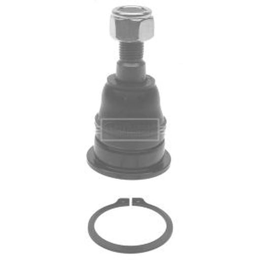 Borg & Beck Ball Joint Lower BBJ5252