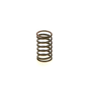 Bosch Compression Spring