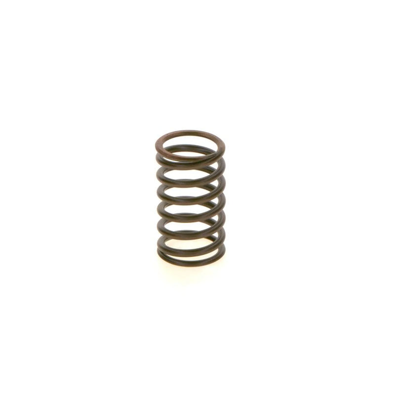 Bosch Compression Spring