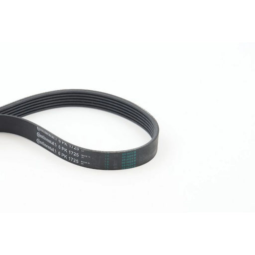 Continental CTAM Multi V-Ribbed Drive Belt fits Alfa Romeo 159 2005-2011 1.9 2.0
