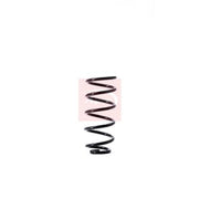 Apec Rear Suspension Coil Spring ACS1537