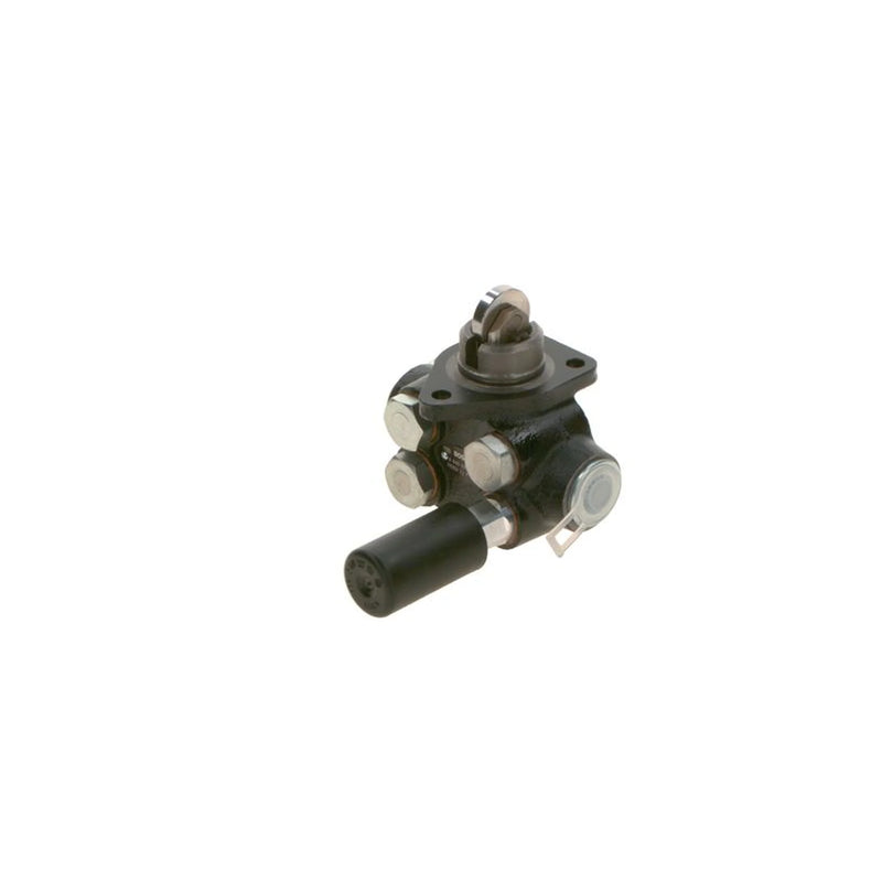 Bosch Fuel Pump Assembly