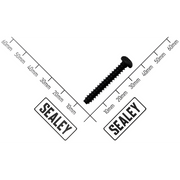 Sealey Front Casing Screw