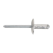 Sealey Clip Strip Deal - Aluminium Rivets RVSET Sealey - Dynamic Drive