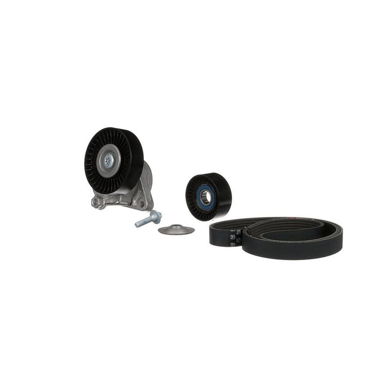 Gates V-Ribbed Belt Set K036PK2448