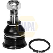 NAPA Ball Joint Front Right fits Nissan Almera 2000-2006 1.5 1.8 2.2