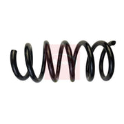 Apec Front Suspension Coil Spring ACS1860