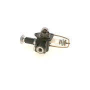 Bosch Fuel Pump Assembly
