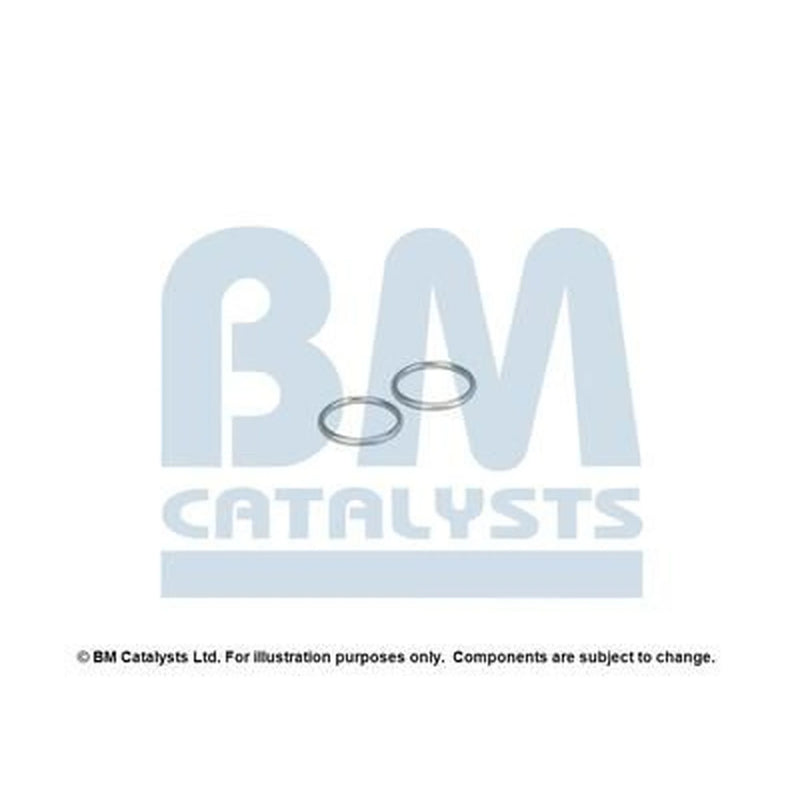 BM Catalysts Fitting Kit FK91347A FK91347A
