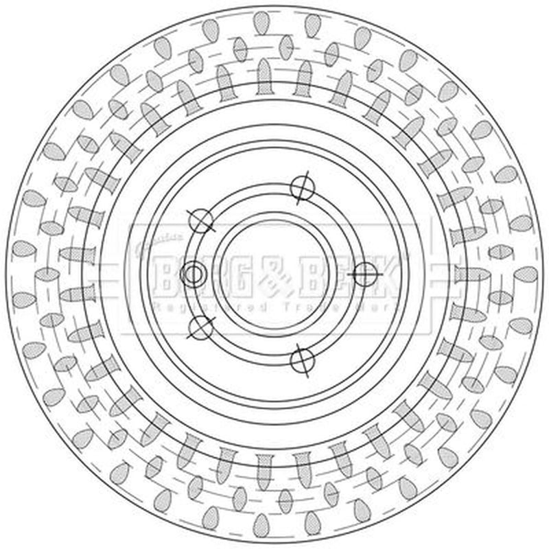 Borg & Beck Rear Brake Discs BBD5558-x2