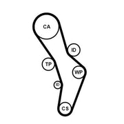Continental CTAM Timing Belt Cambelt 145 Teeth fits Audi A3 2003-2008 2.0