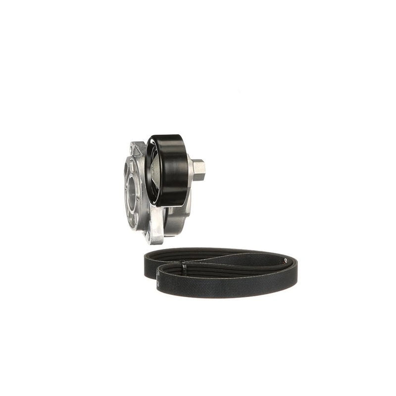 Gates V-Ribbed Belt Set K025PK1138