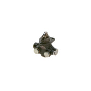 Bosch Fuel Pump Assembly