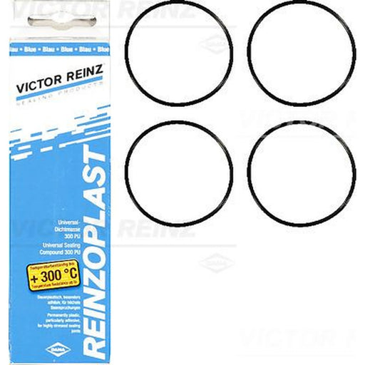 Victor Reinz Cylinder Head Cover Gasket Set 15-76741-01