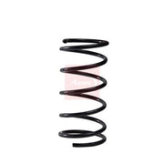 Apec Front Suspension Coil Spring fits Ford Focus I 2002-2004