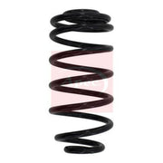 Apec Rear Suspension Coil Spring fits Chevrolet Cruze 2009-2015