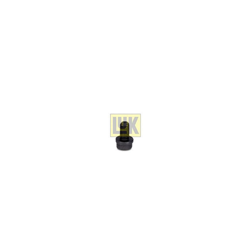 LuK Dmf Bolt Fitting Kit 411015310 411015310