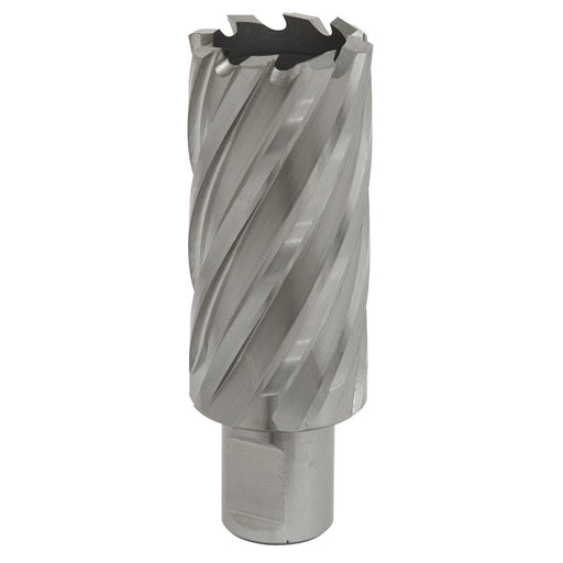 Sealey Rotabor Cutter HSS29mm Cut Depth 50mm RBHSS29L Sealey - Dynamic Drive