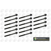 BGA Cylinder Head Bolt Set M11 BK4311
