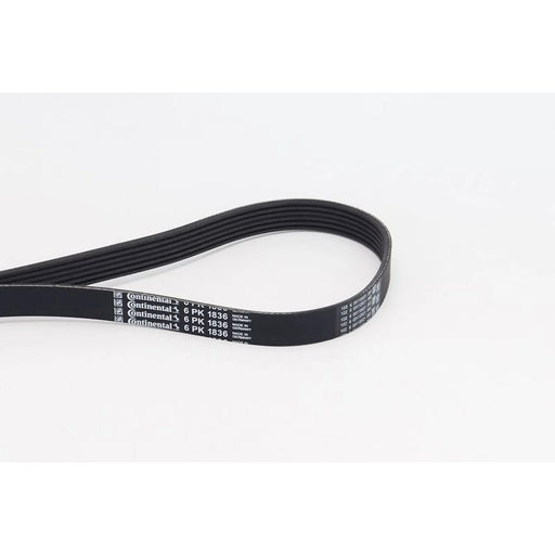 Continental CTAM Multi V-Ribbed Drive Belt fits Alfa Romeo 147 2001-2010 1.9