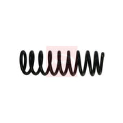 Apec Rear Suspension Coil Spring ACS1975