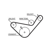 Gates Timing Belt Cambelt 83 Teeth 5456XS