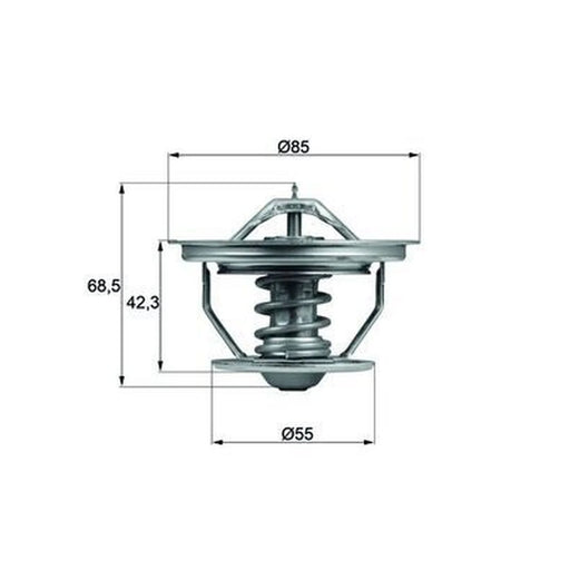 Mahle Thermostat,Coolant