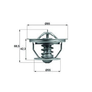 Mahle Thermostat,Coolant