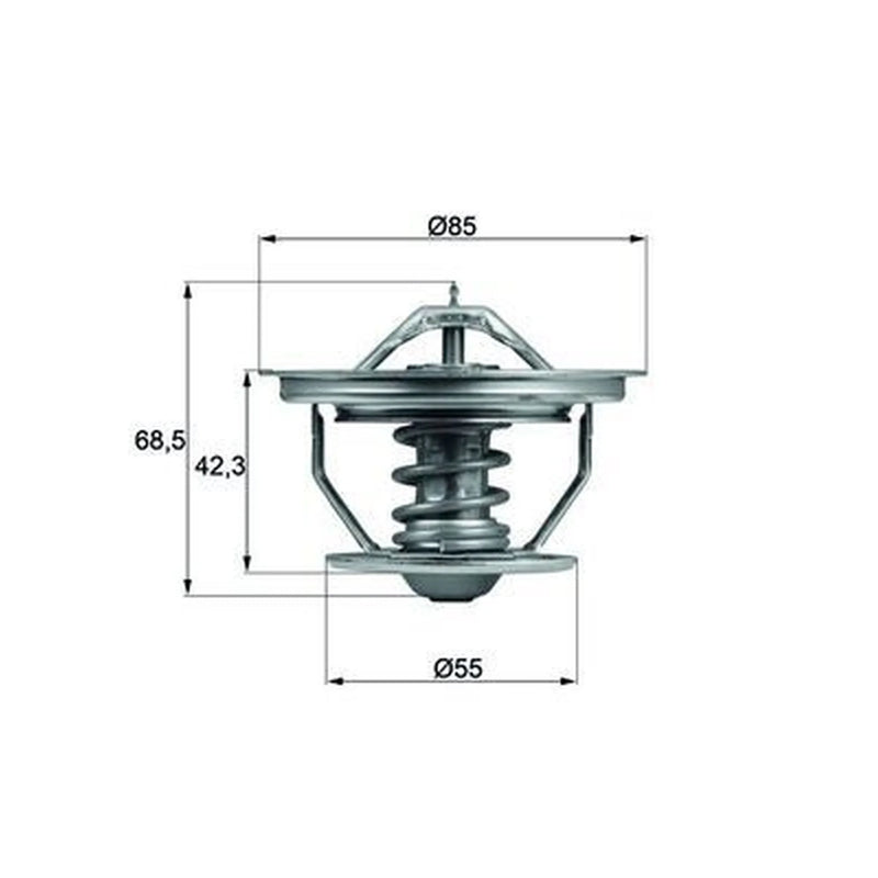Mahle Thermostat,Coolant