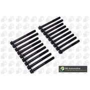 BGA Cylinder Head Bolt Set M12 BK3390