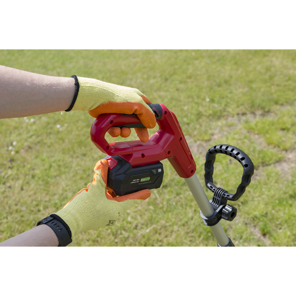 Sealey Cordless Grass Strimmer 20V Lawn Cutter Garden 4Ah Battery and Charger Sealey  - Dynamic Drive