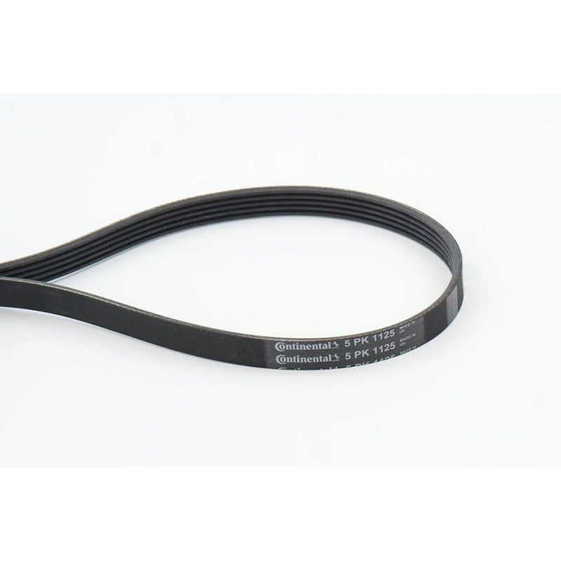 Continental CTAM Multi V-Ribbed Drive Belt fits Audi A5 2007-2012