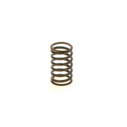 Bosch Compression Spring
