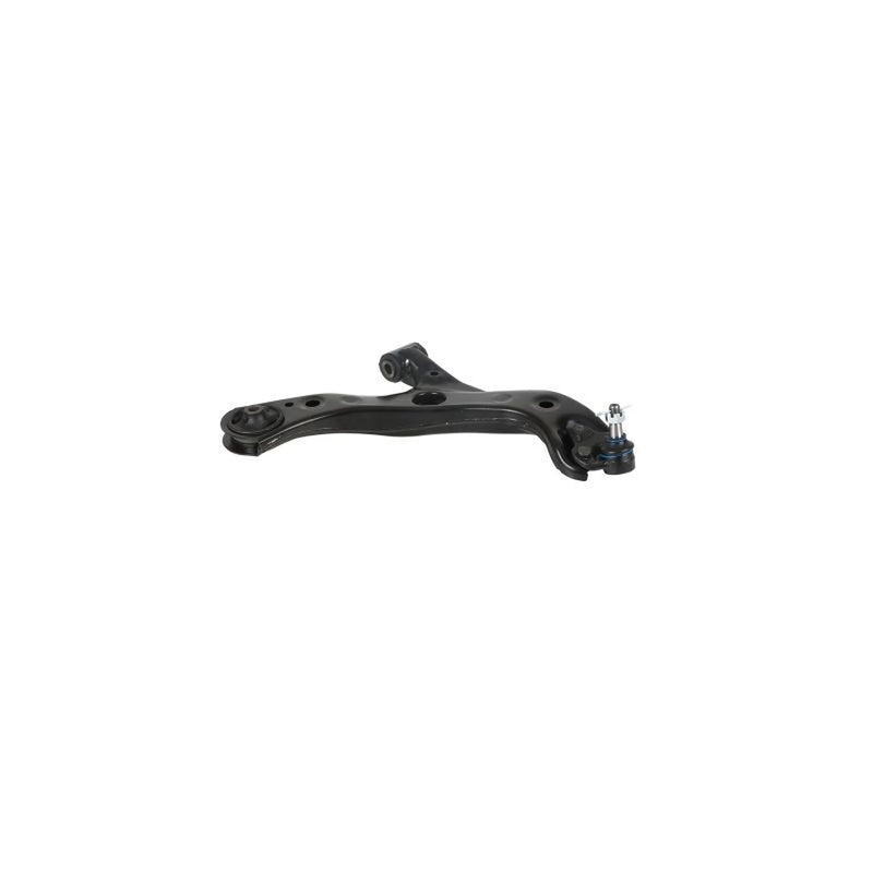 Delphi Control/Trailing Arm Lower fits Suzuki Swace 2020 on 1.8