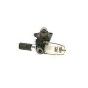Bosch Fuel Pump Assembly