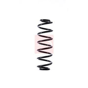 Apec Rear Suspension Coil Spring ACS1474