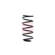 Apec Front Suspension Coil Spring ACS1398
