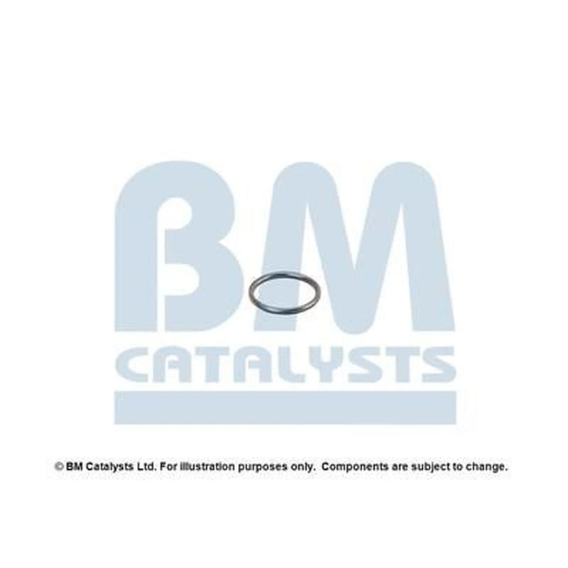 BM Catalysts Fitting Kit FK80194A FK80194A