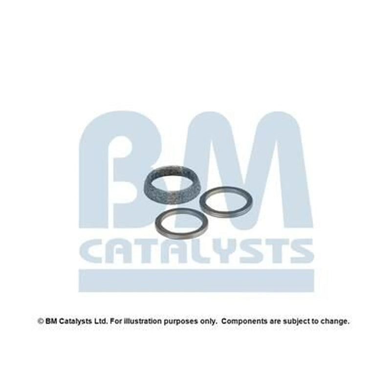 BM Catalysts Exhaust Pipe Mounting Kit