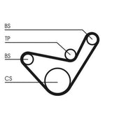 Continental CTAM Timing Belt Cambelt 99 Teeth fits Hyundai Galloper I 1991-1998