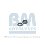 BM Catalysts Fitting Kit FK91816A FK91816A
