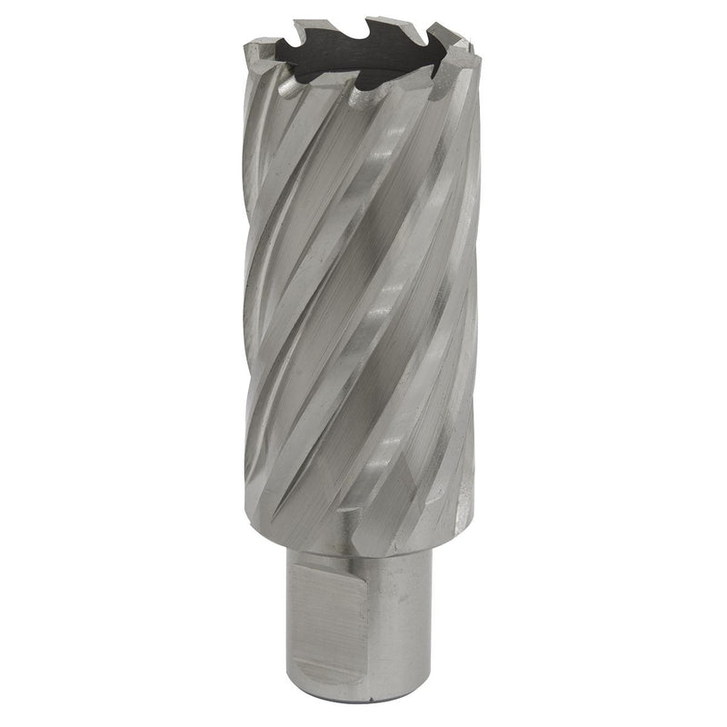 Sealey Rotabor Cutter HSS30mm Cut Depth 50mm RBHSS30L Sealey - Dynamic Drive